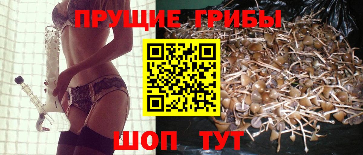 Псилоцибиновые грибы прущие грибы Сафоново